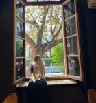 Алина — интим массаж на дому